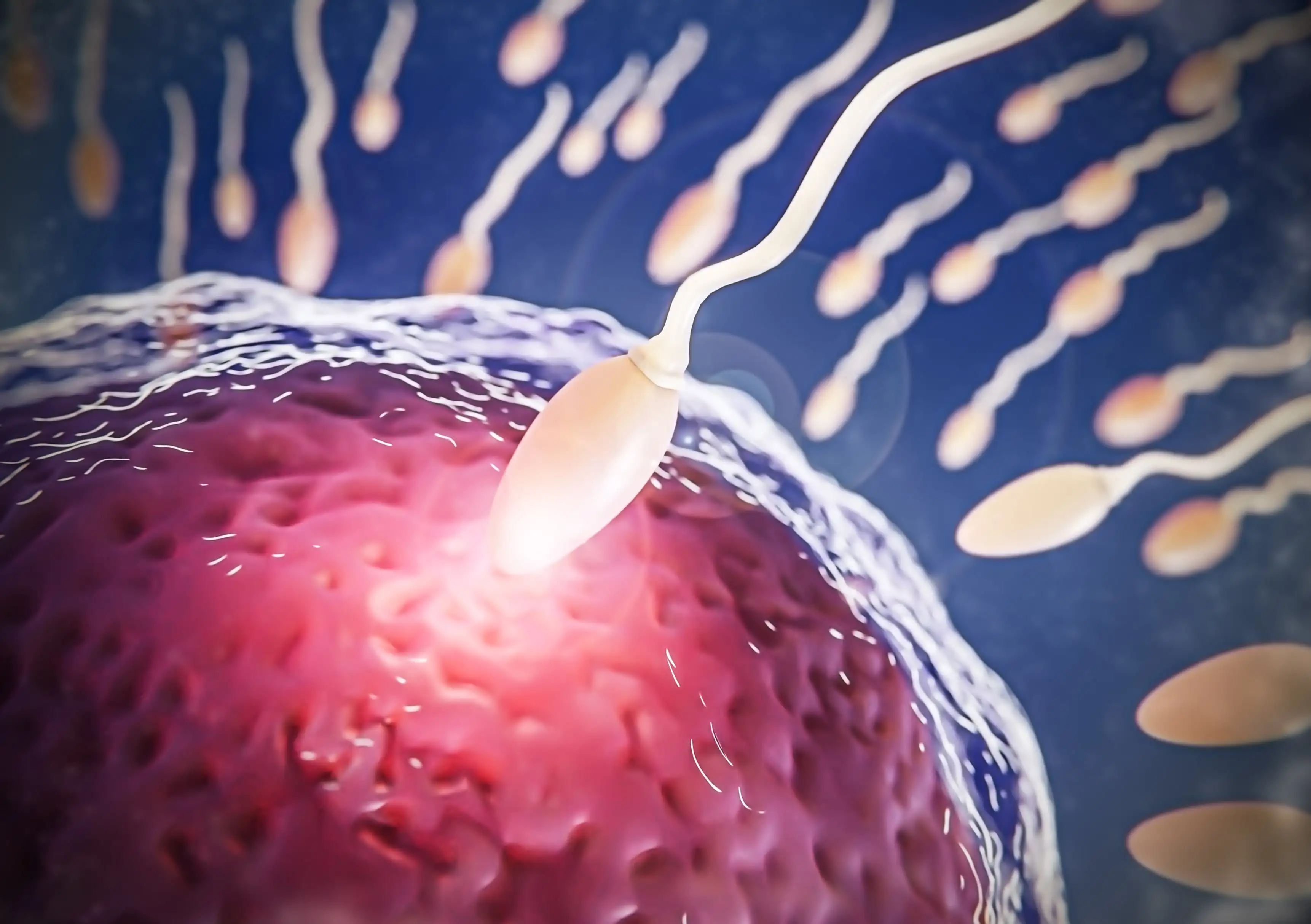 Semen Analysis Test - CT Nursing Home